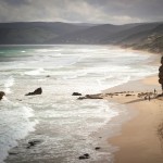 Music For Small Audiences