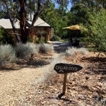 Music For Small Audiences