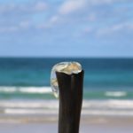 Music For Small Audiences