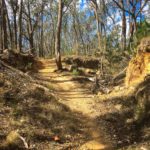 Music For Small Audiences