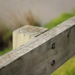 Music For Small Audiences