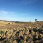 Music For Small Audiences