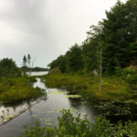 Music For Small Audiences