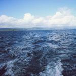 Music For Small Audiences