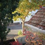 Music For Small Audiences