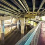 Music For Small Audiences