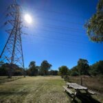 Music For Small Audiences