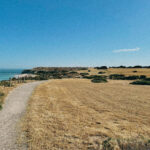 Music For Small Audiences