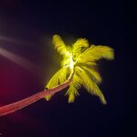 Music For Small Audiences